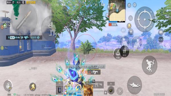 和平精英【EAD内部】辅助